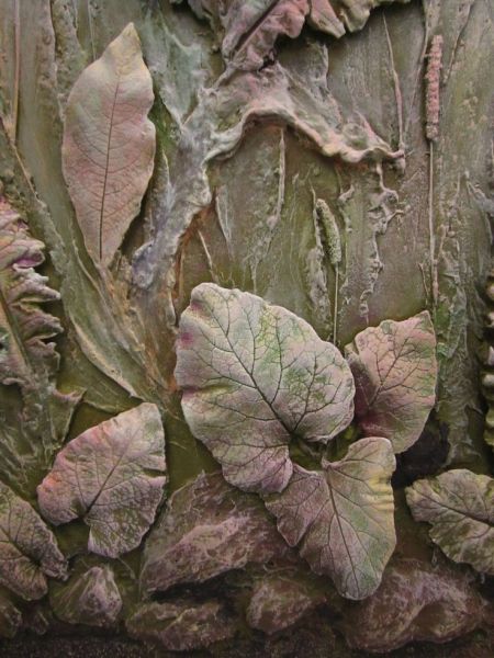 whatsapp image 2024 01 28 at0.54.30  